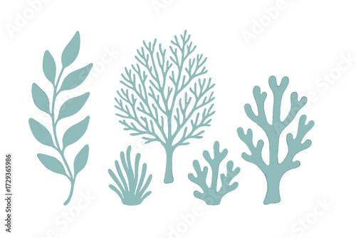 Assortment of stylized underwater plants, seaweeds, and coral reef elements in a serene blue green palette on a clean white background