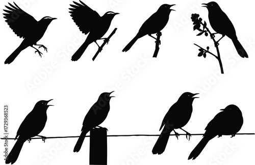 Bird silhouettes vector set, flying birds, perched birds, singing birds, black bird shapes, nature elements, wire perch, floral branch, minimal style