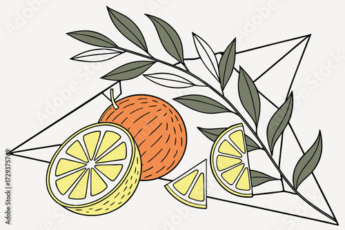 citrus fruits,fresh fruit,orange,lemon,leaves,natural,vibrant,minimal,geometric,conceptual,arrangement,still life,artistic,clean background