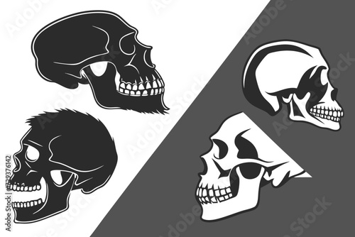 Four skull illustrations in black and white with different styles and orientations on a divided background silhouette