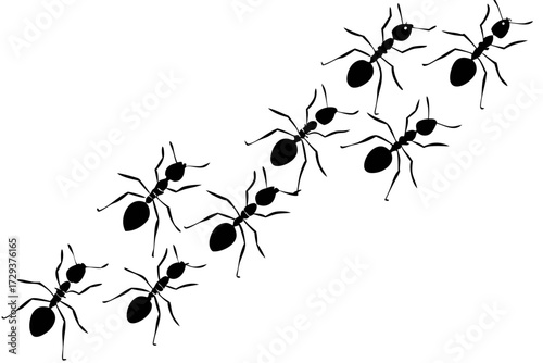 A diagonal line of ants marching in formation across a white background in a simple black and white drawing silhouette