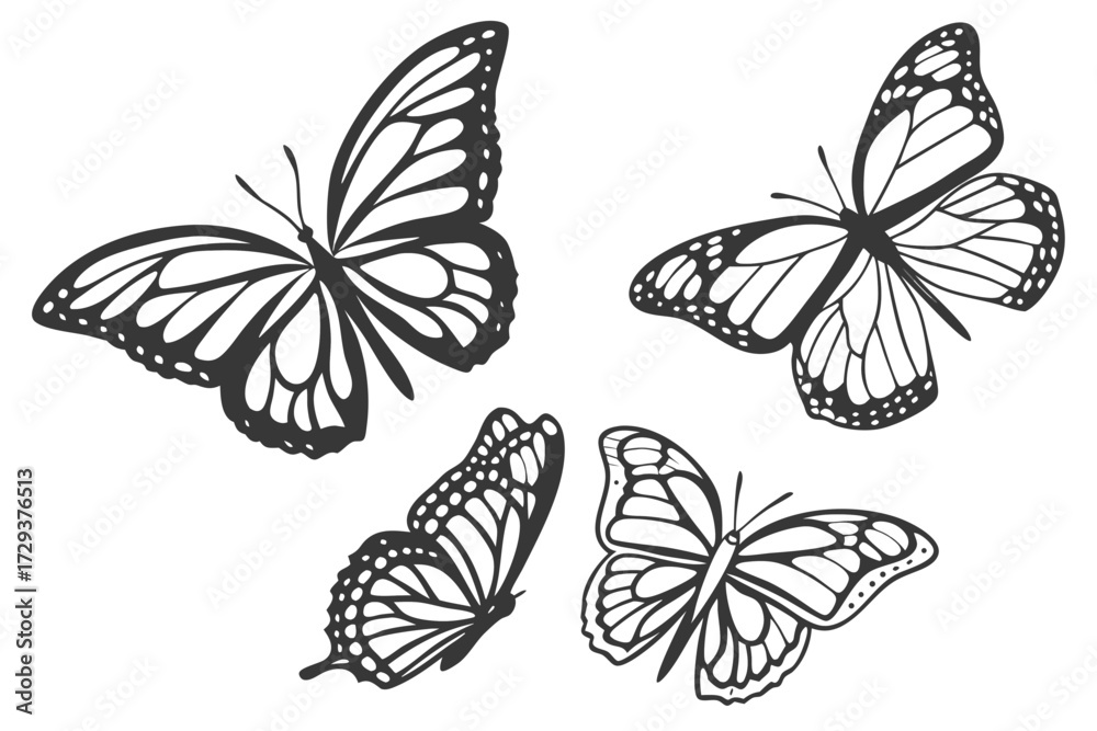 Obraz premium Four black and white butterflies with detailed wing patterns in various flying positions on a white background silhouette
