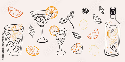Hand drawn illustration of refreshing citrus cocktails and ingredients with ice and orange slices