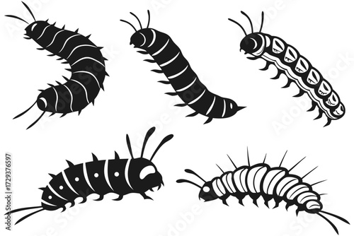Illustration showing a group of five caterpillars in various poses and styles in black and white color scheme silhouette