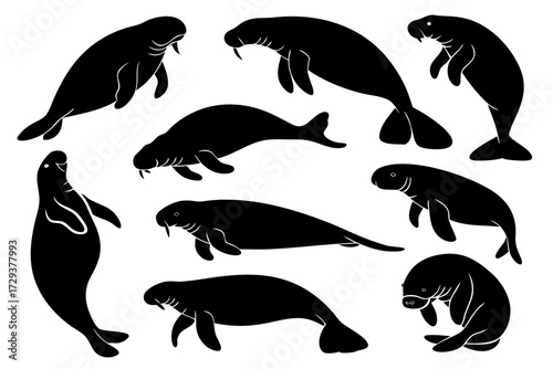 Silhouette manatee vector art illustration collection sea cow graphic design aquatic mammal dugong clip art image