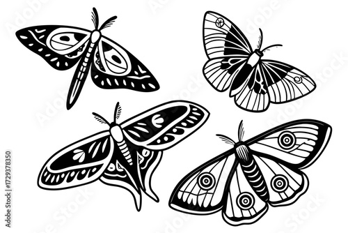 Black and white moth vector illustration, insect clip art, moth drawing, moth design, moth stencil 100 char silhouette