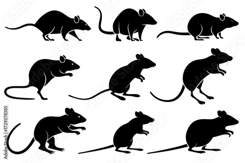 Collection of black rat silhouette vector images for design projects and educational resources and graphic art