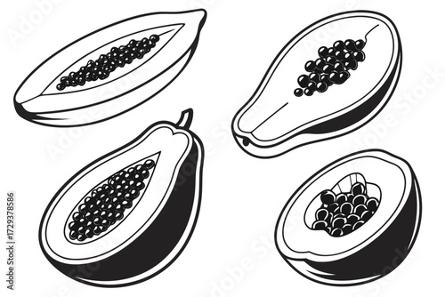 Papaya fruit vector illustration, tropical fruit drawing, exotic food outline, healthy eating, papaya halves art silhouette