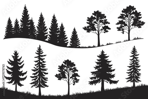 Silhouette forest trees landscape background vector illustration evergreen pine tree woods nature scenery design