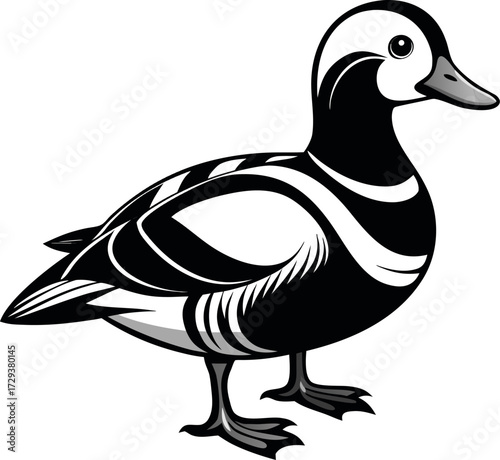 Welsh Harlequin duck, vector line art icon, black and white, white background
