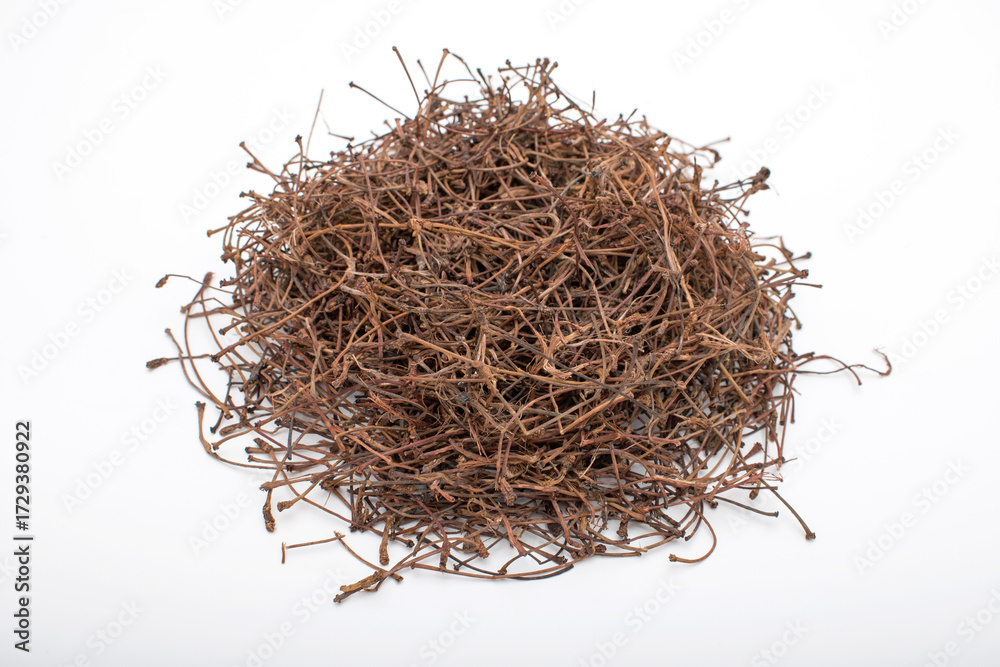 Fototapeta premium Dried cherry stems isolated on white background.