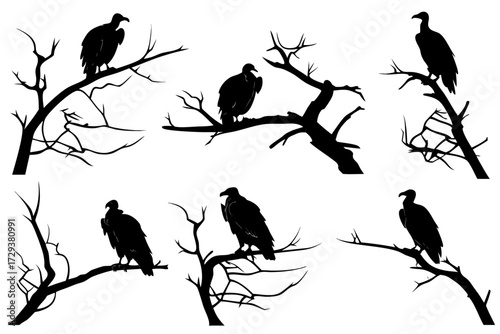 Vulture silhouette vector graphic illustration of birds on branches for halloween or nature designs