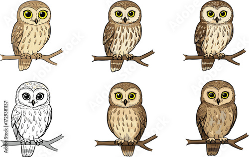 Cartoon owl illustrations perched on branches, black and white sketch, realistic shaded owl artwork, wildlife drawing collection, nature inspired bird design 