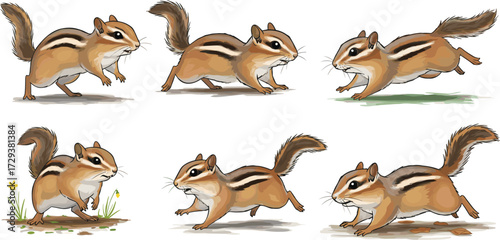 Chipmunk illustration set, running and leaping poses, wildlife animal drawing, nature inspired artwork, forest creature design, dynamic movement character collection