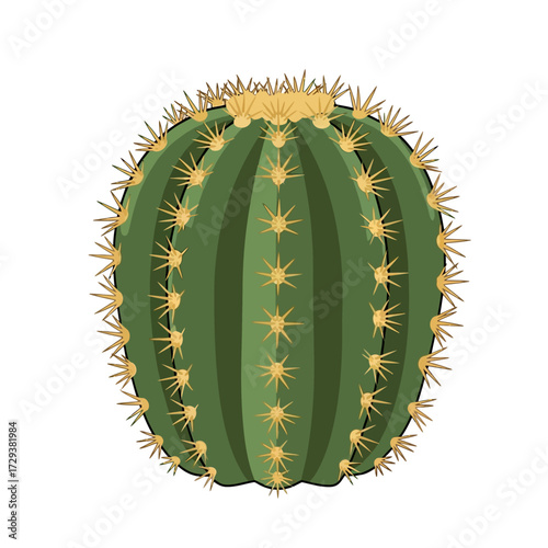 Illustration of a round green barrel cactus with sharp yellow spines on a white background.