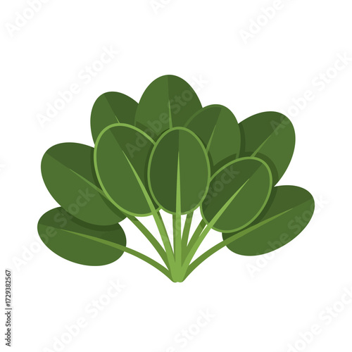 A vibrant green bunch of fresh spinach leaves with stems, shown in a flat vector illustration style isolated on a white background.
