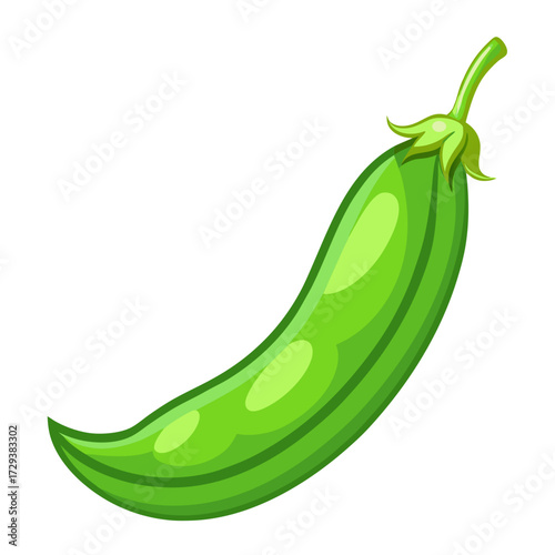 Illustration of fresh green peas in a pod vegetable healthy eating vegan food diet ingredient ninety
