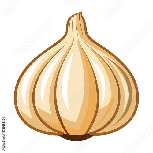 Illustration of a fresh garlic bulb for cooking ingredient and healthy eating concept design