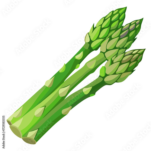 Fresh green asparagus spears vegetable nutrition healthy eating culinary ingredient image stock photo