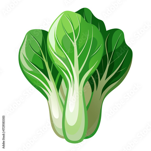 Fresh bok choy vegetable nutrition facts health benefits recipes cooking tips and information guide