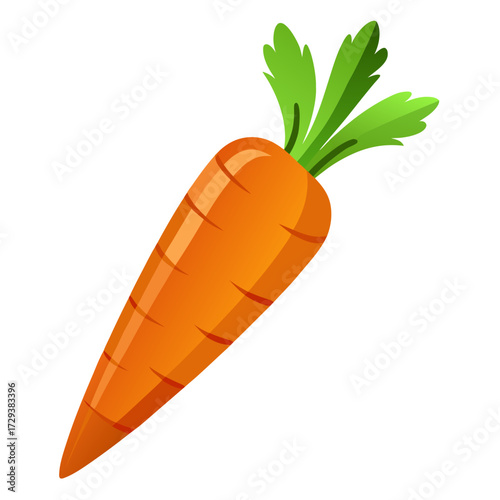 Isolated vector illustration of fresh carrot vegetable healthy food ingredient for cooking diet plan