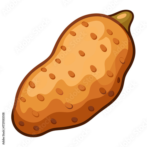 Illustration of a fresh organic potato tuber for cooking and healthy eating and nutrition needs
