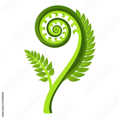 Fern frond unfurling vector illustration of green fern plant with spiral growth and leaves design