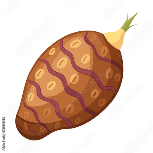 Illustration of taro root vegetable with brown skin and wavy purple lines and small spots