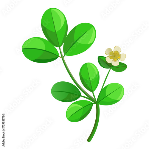 Browse beautiful brahmi bacopa monnieri images and pictures of water hyssop plant with flower