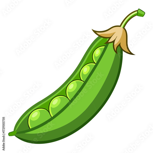 Fresh green peas in pod illustration vector graphic healthy eating vegetable garden nutrition design element