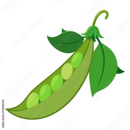 Isolated green peas pod vegetable illustration for healthy eating and vegan food concept art
