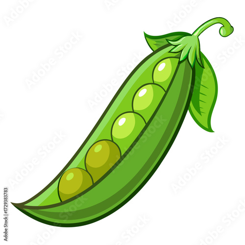 Illustration of fresh green peas in a pod vegetable healthy eating nutrition diet food clipart vector