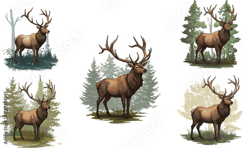 Elk illustration, deer drawing, wildlife sketch, antler animal, forest background, nature artwork, majestic stag, outdoor scene, natural habitat, woodland design, character art