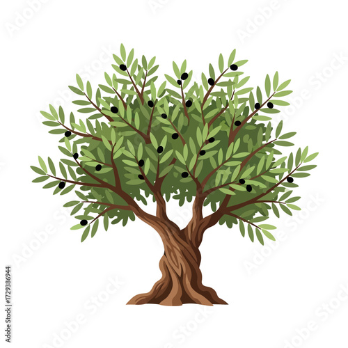 A vibrant illustration of a mature olive tree laden with ripe black olives, showcasing its twisted trunk and lush green foliage.
