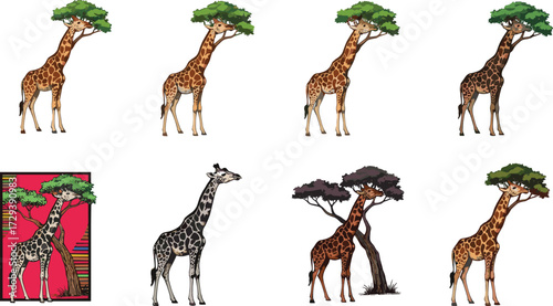 Giraffe illustration set, wildlife vector, animal character, tree interaction, artistic styles, nature theme, safari scene, digital art, stock image, anatomy study