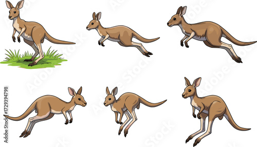 Kangaroo hop sequence, animal motion illustration, wildlife biomechanics, jumping stages, cartoon kangaroo, silhouette movement, grassland leap, marsupial animation, vector pose study