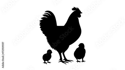 a silhouette of a chicken and two chicks on a plain transparent backgroundbird, black, chicken, cock, hen, illustration, profile, stand 