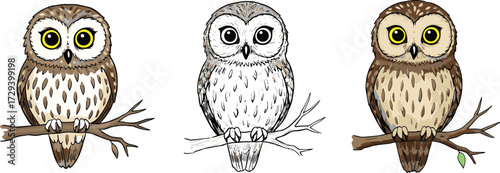 Owl illustration, cartoon bird, wildlife drawing, perched animal, forest branch, nocturnal character, nature artwork, feather pattern, woodland design, cute animal art