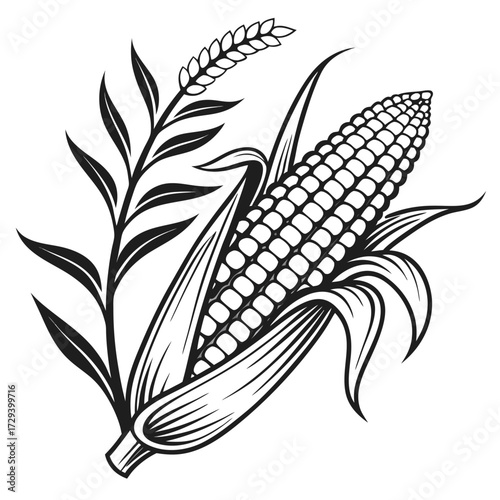 Corn and wheat stalk maize kernels