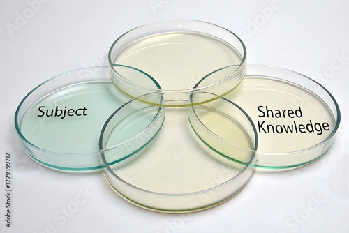 Arranged Petri Dishes Representing Science and Experimentation