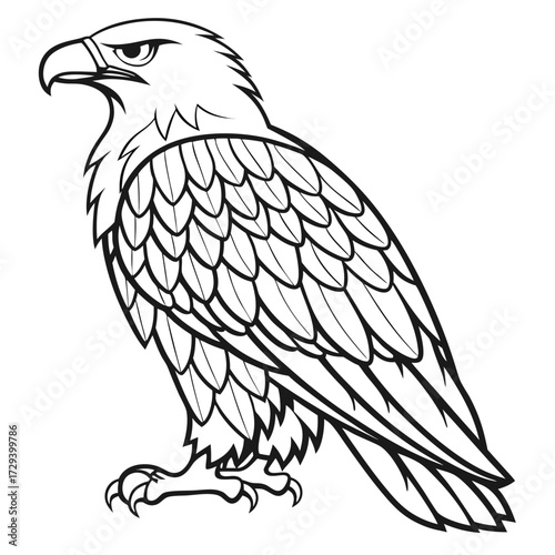 Majestic eagle perched with sharp gaze bird raptor