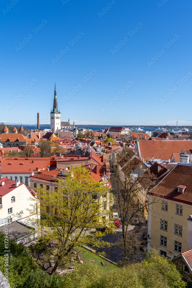 Fototapeta premium Beautiful aerial view of Tallinn old town. Medieval city in Northen Europe. The capital of Estonia. Beautiful Tallinn on a summer day
