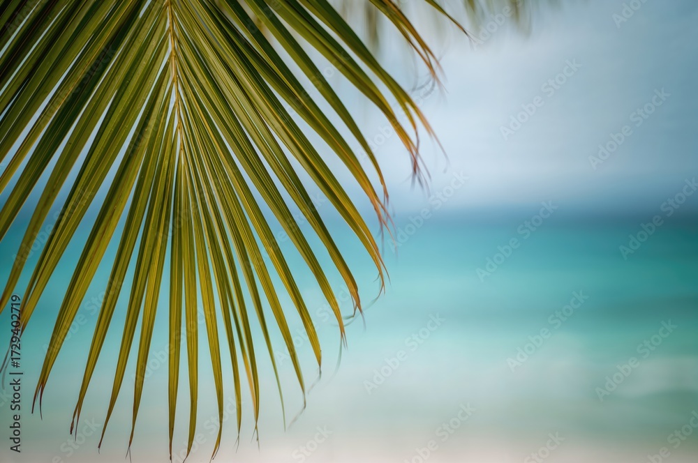 Fototapeta premium Close-up photograph of a coconut palm frond