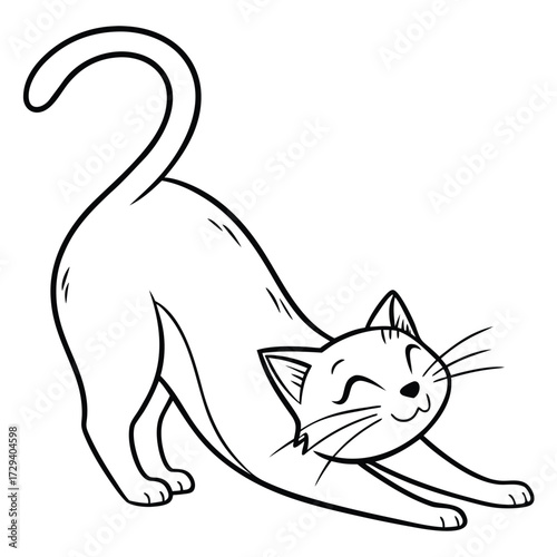 cat and mouse