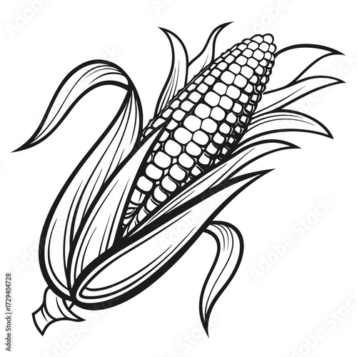 Corn cob with leaves kernels stalk