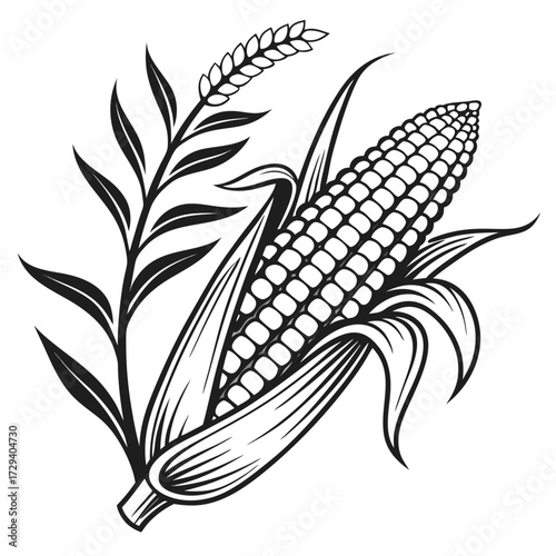 Corn and wheat stalk maize kernels