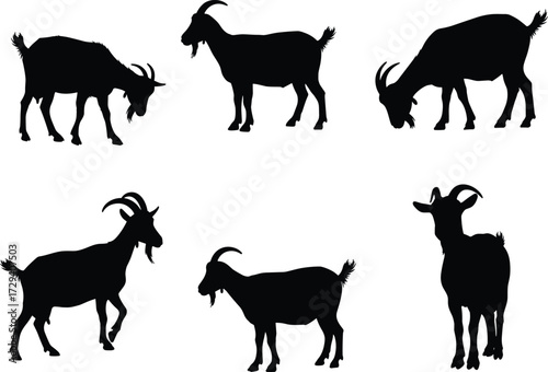 Set of black goat silhouettes in standing, grazing, and walking poses, ideal for farm animal vector design, clipart, and education.
