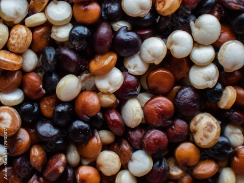 Closeup of quinoa seeds