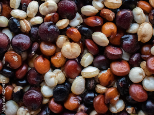 Closeup of quinoa seeds