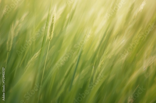Abstract blurred backdrop with lively summer greenery